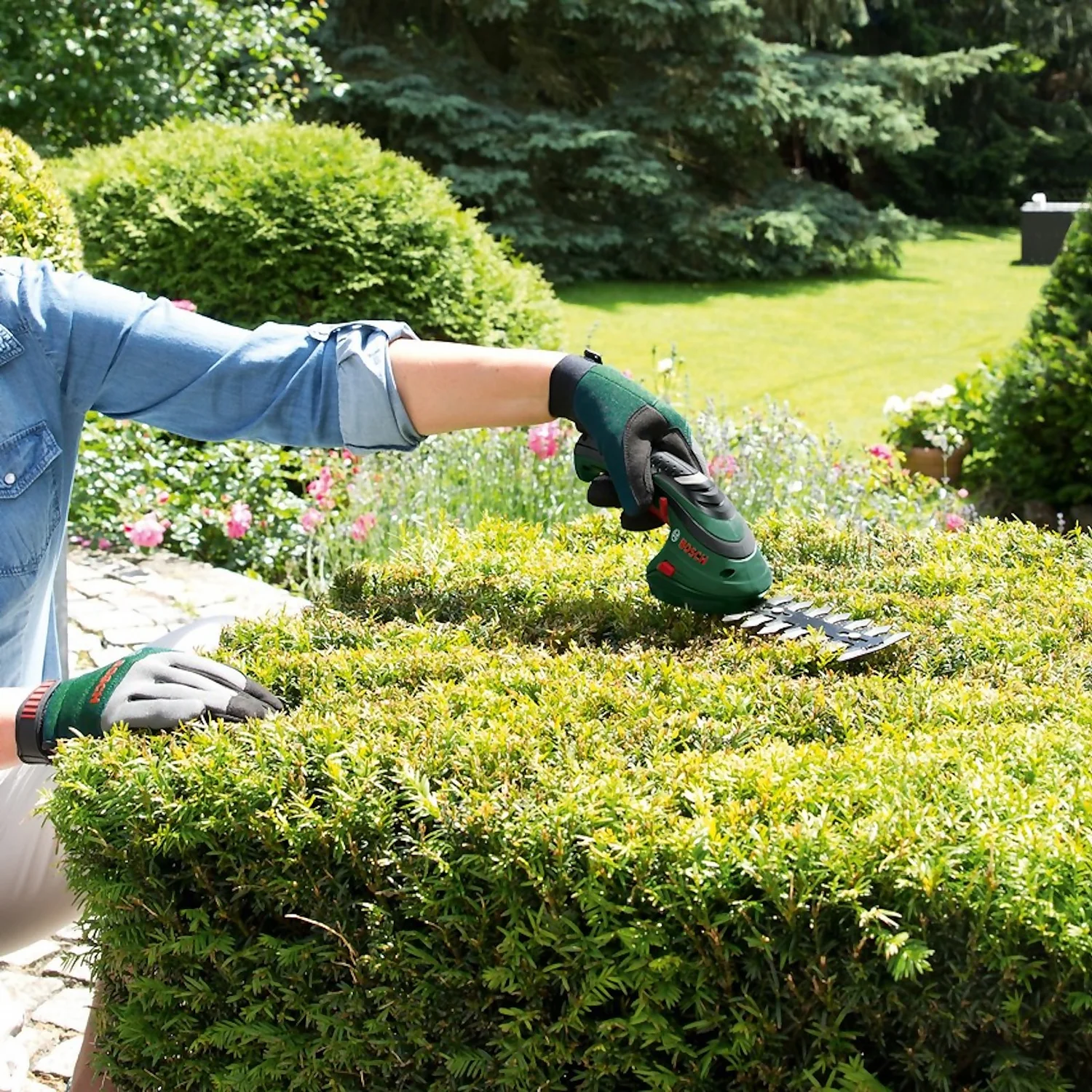 Bosch Isio III Cordless Shrub Shear - Image 7