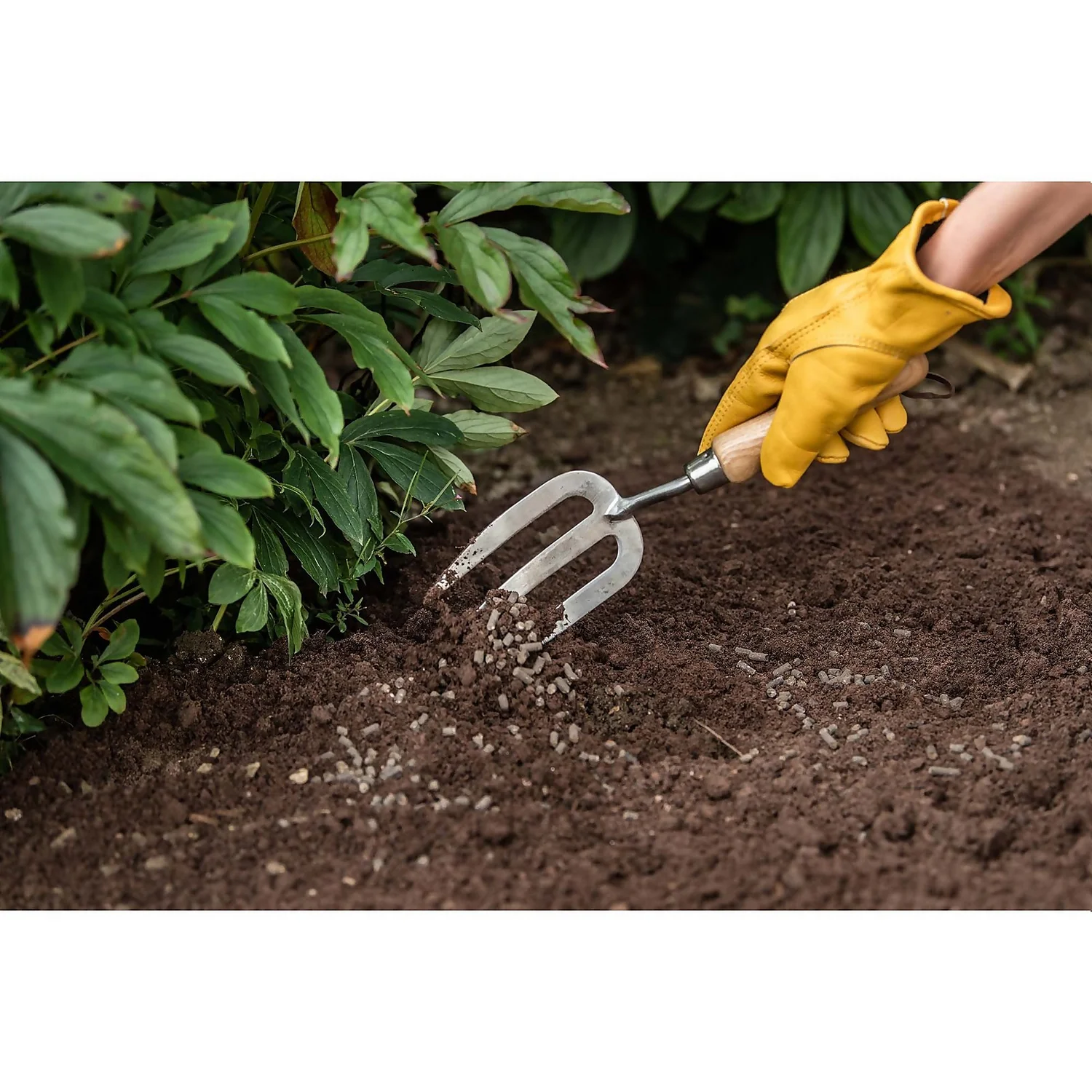 Westland Organic Chicken Manure Pellets - 2.25kg - Image 4