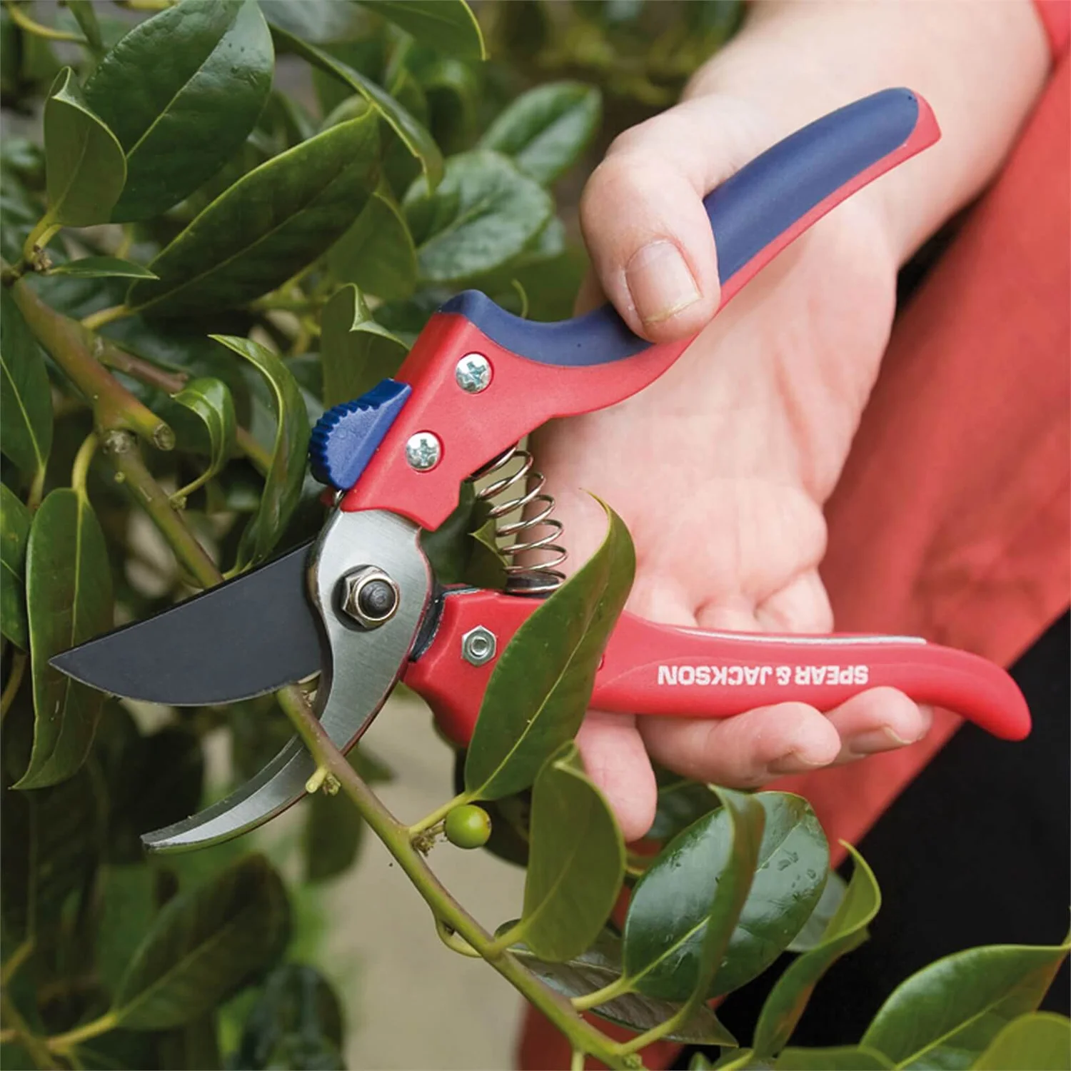 Spear & Jackson Razorsharp Bypass Secateurs - Image 2