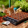 Seed And Cutting Tray - 40 Pots