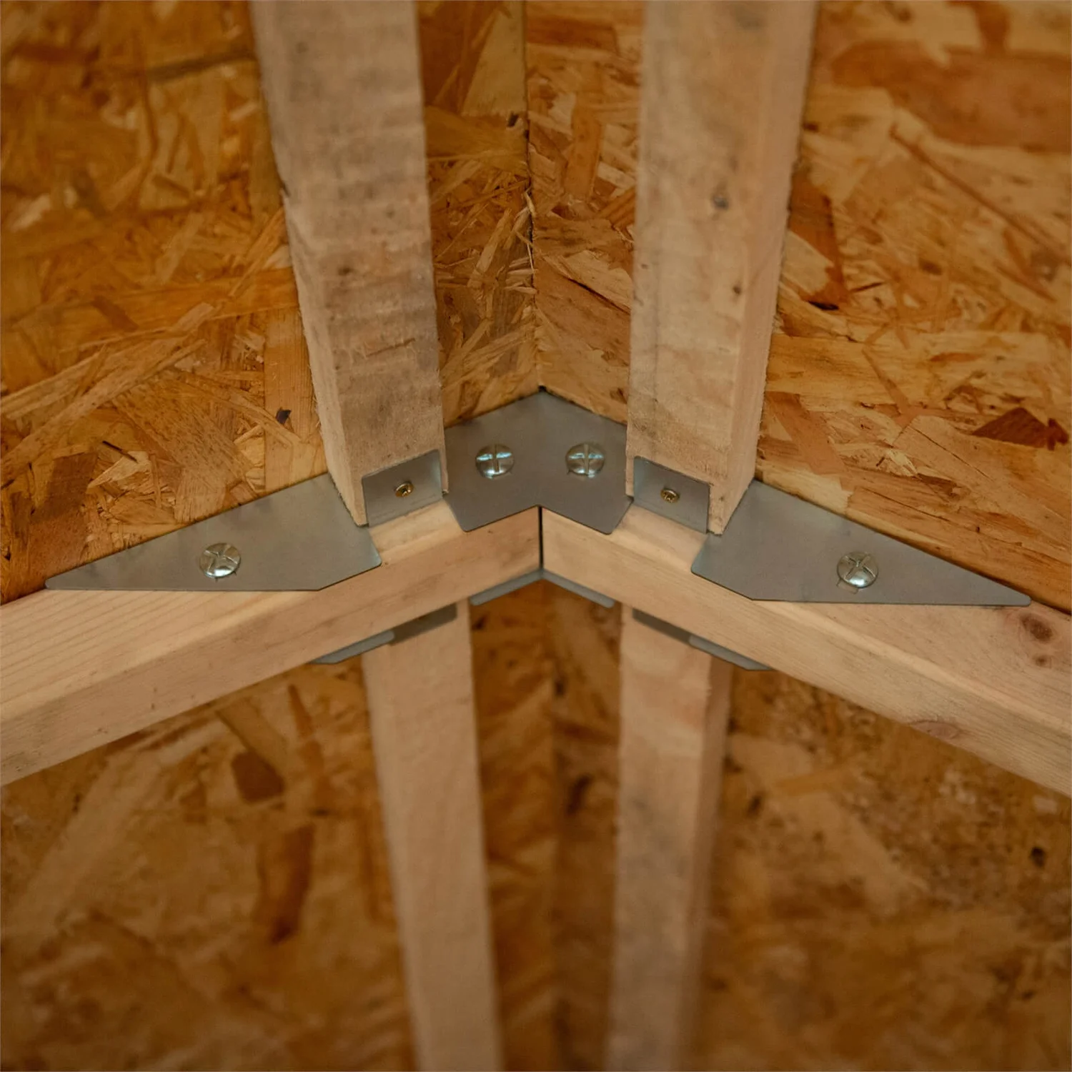 Forest 10 X 10ft Overlap Pressure Treated Double Door Apex Shed - Image 6