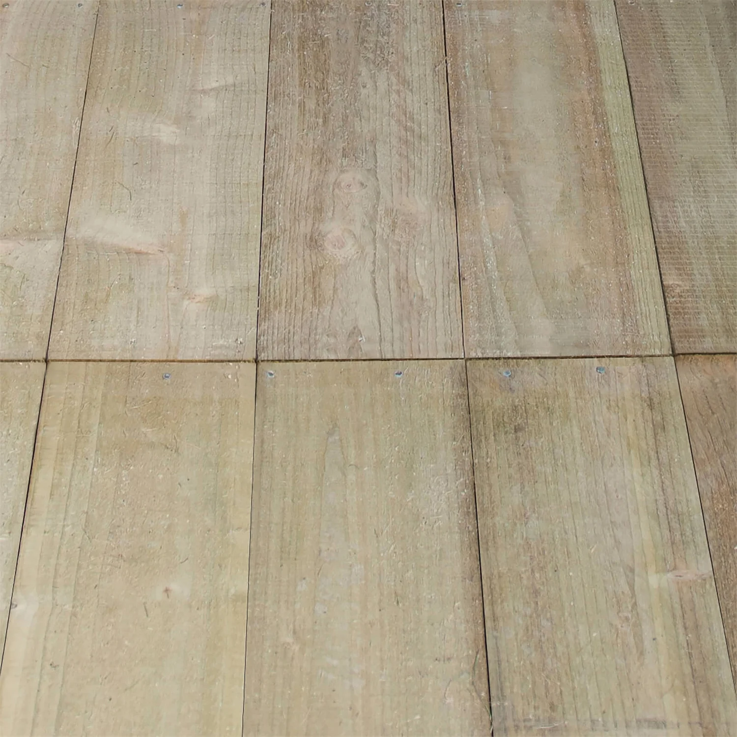 Forest 7 X 5ft Overlap Pressure Treated Apex Shed - Image 8