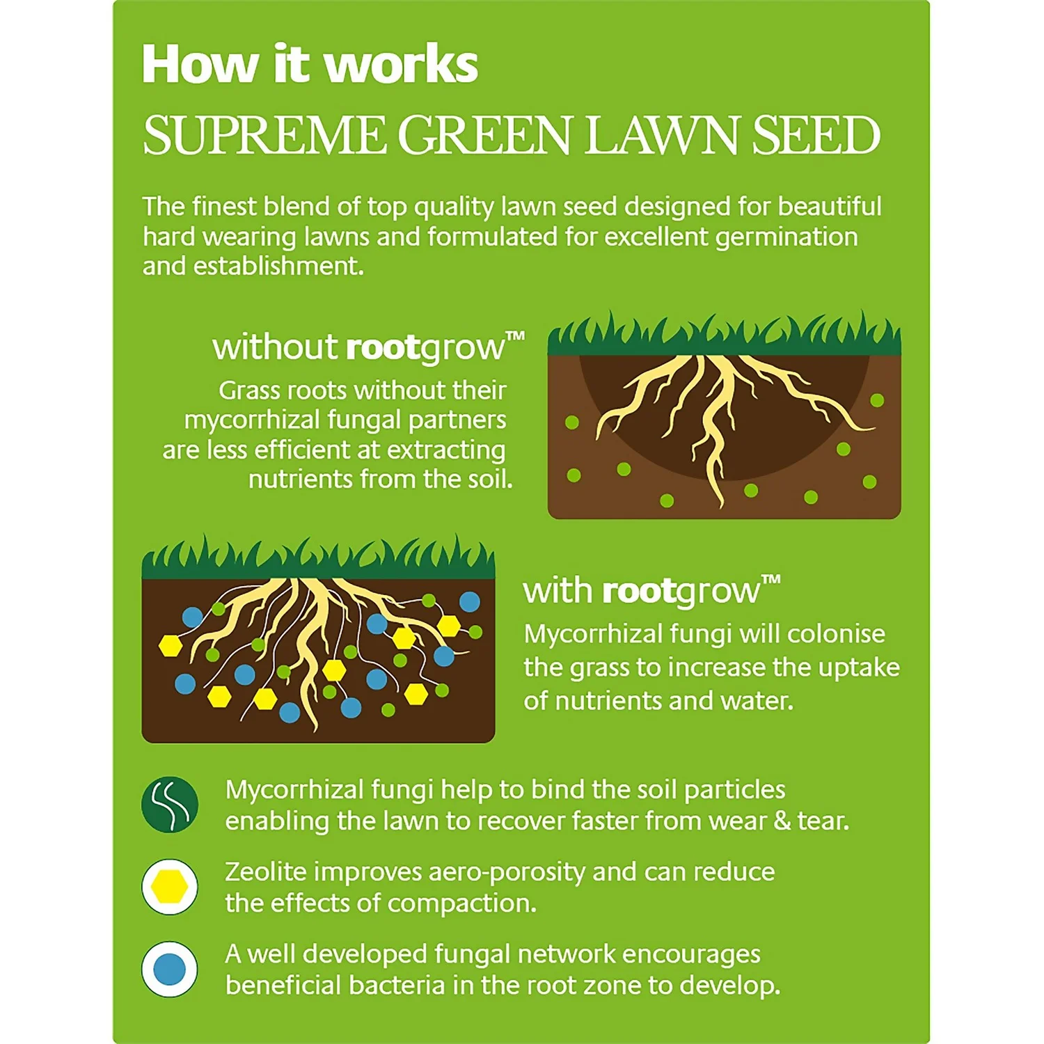 Empathy Supreme Green Lawn Seed With Rootgrow™ - Image 2