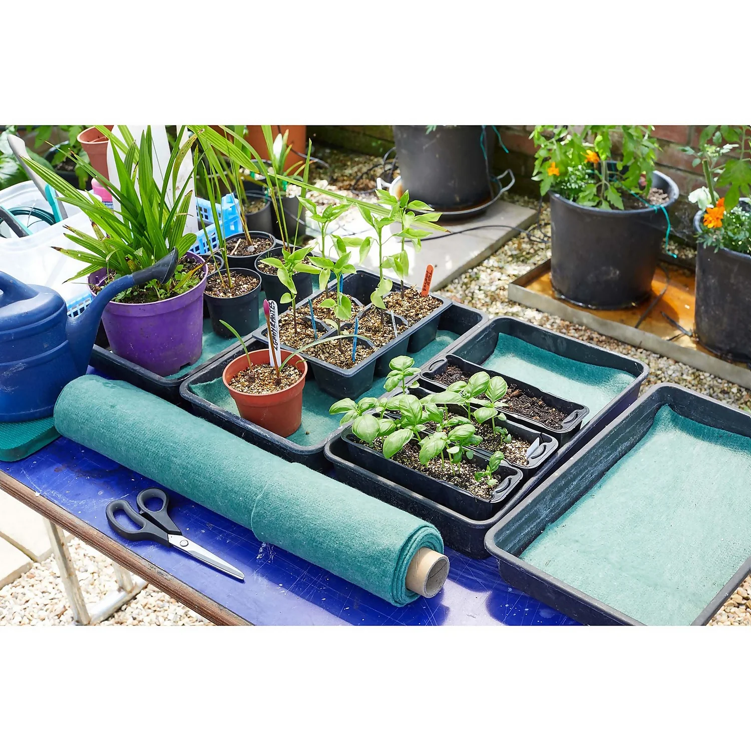 Plant Moisture Mat - 2.4m X 0.6m - Image 2