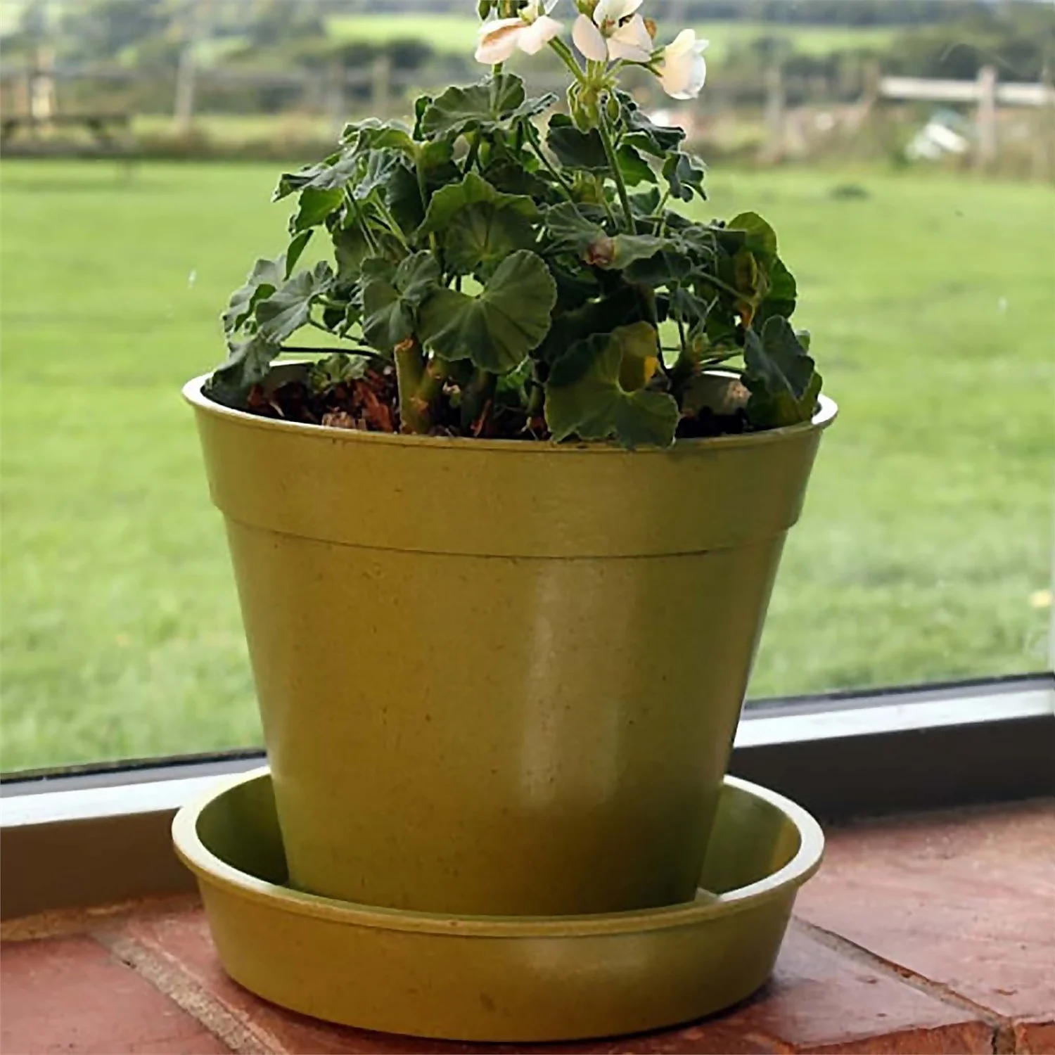 8in Bamboo Pot Single Sage Green - Image 2