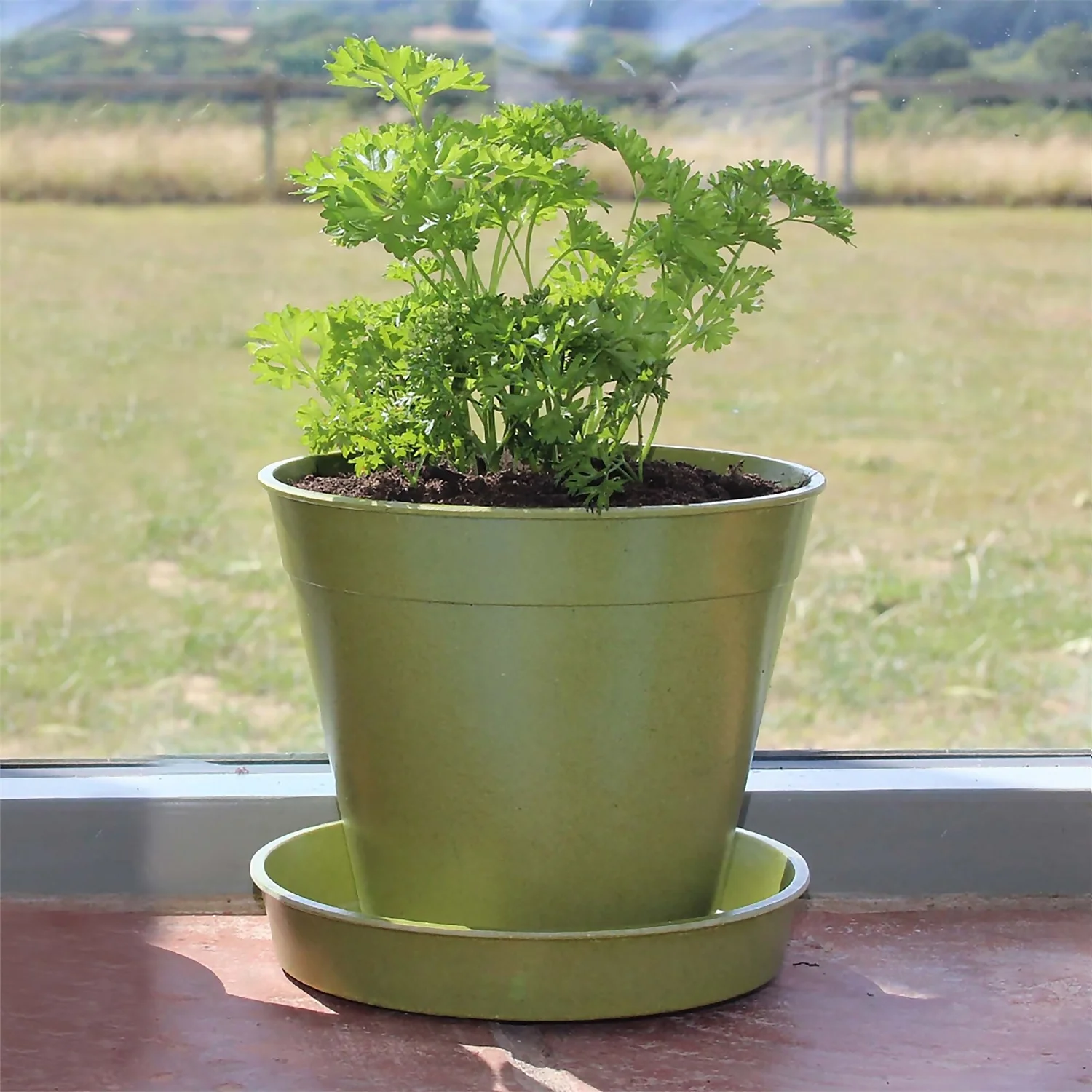 8in Bamboo Saucer Single Sage Green - Image 2
