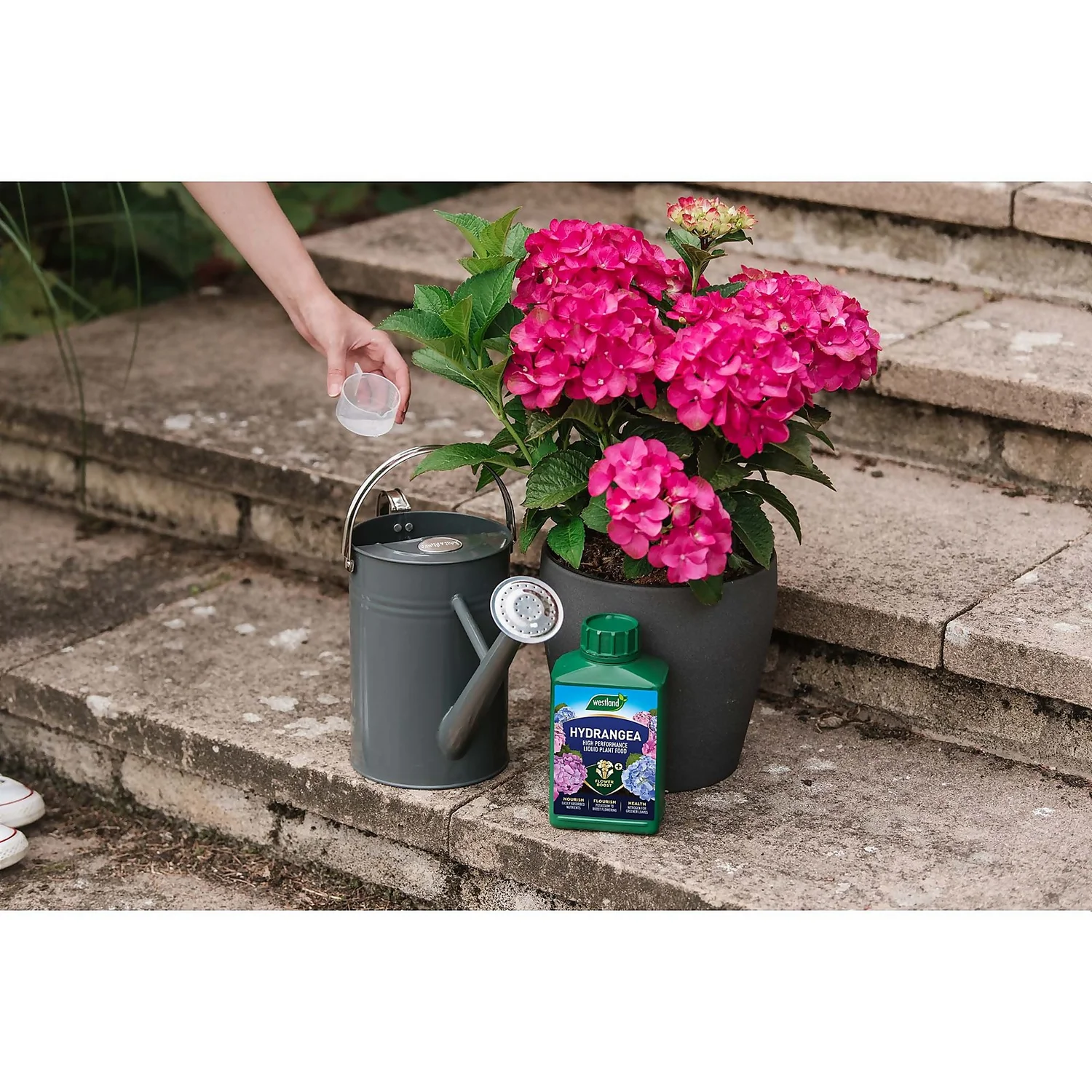 Westland Hydrangea Feed - 1l - Image 5