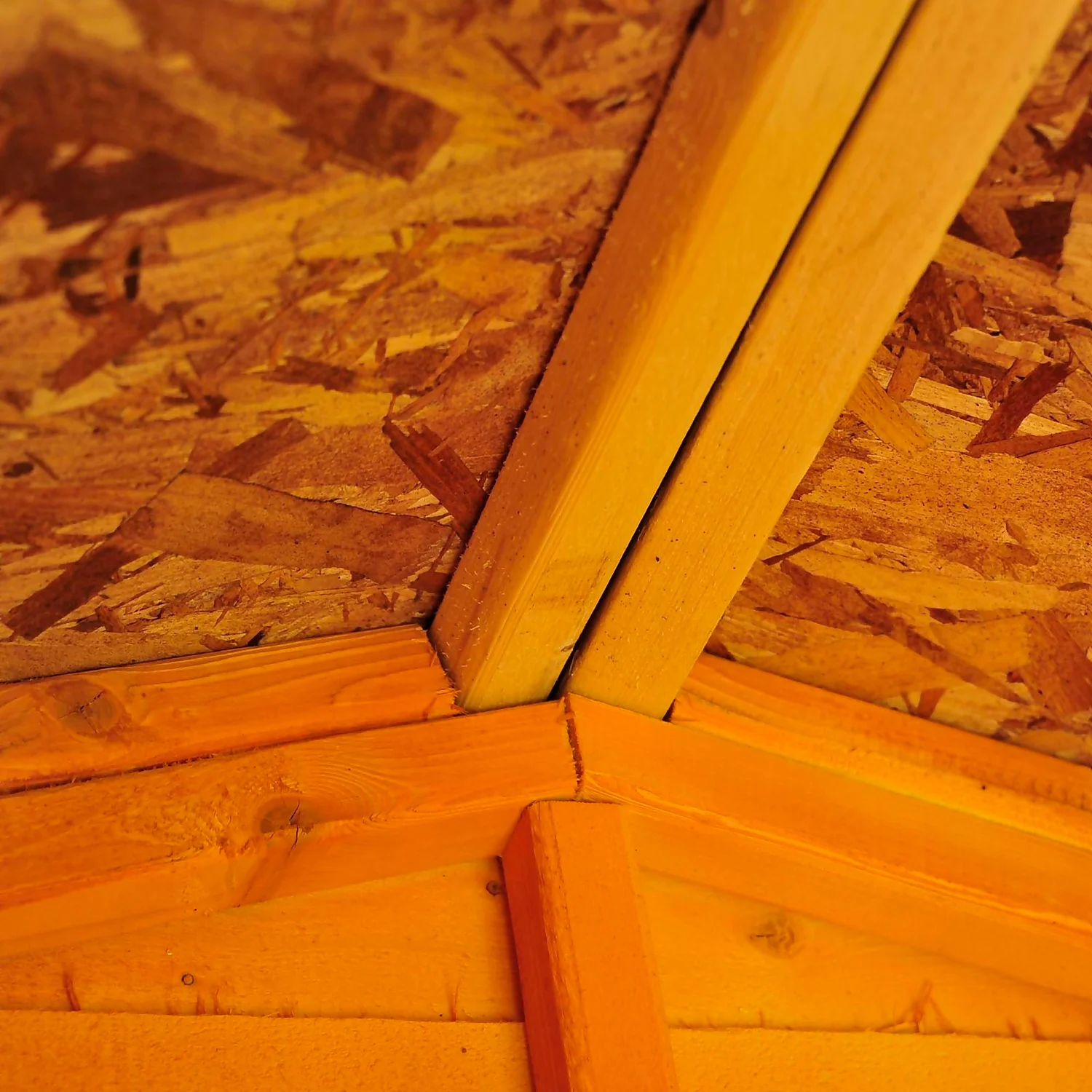 Shire 12 X 6ft Shed Overlap Double Door - No Windows - Image 8