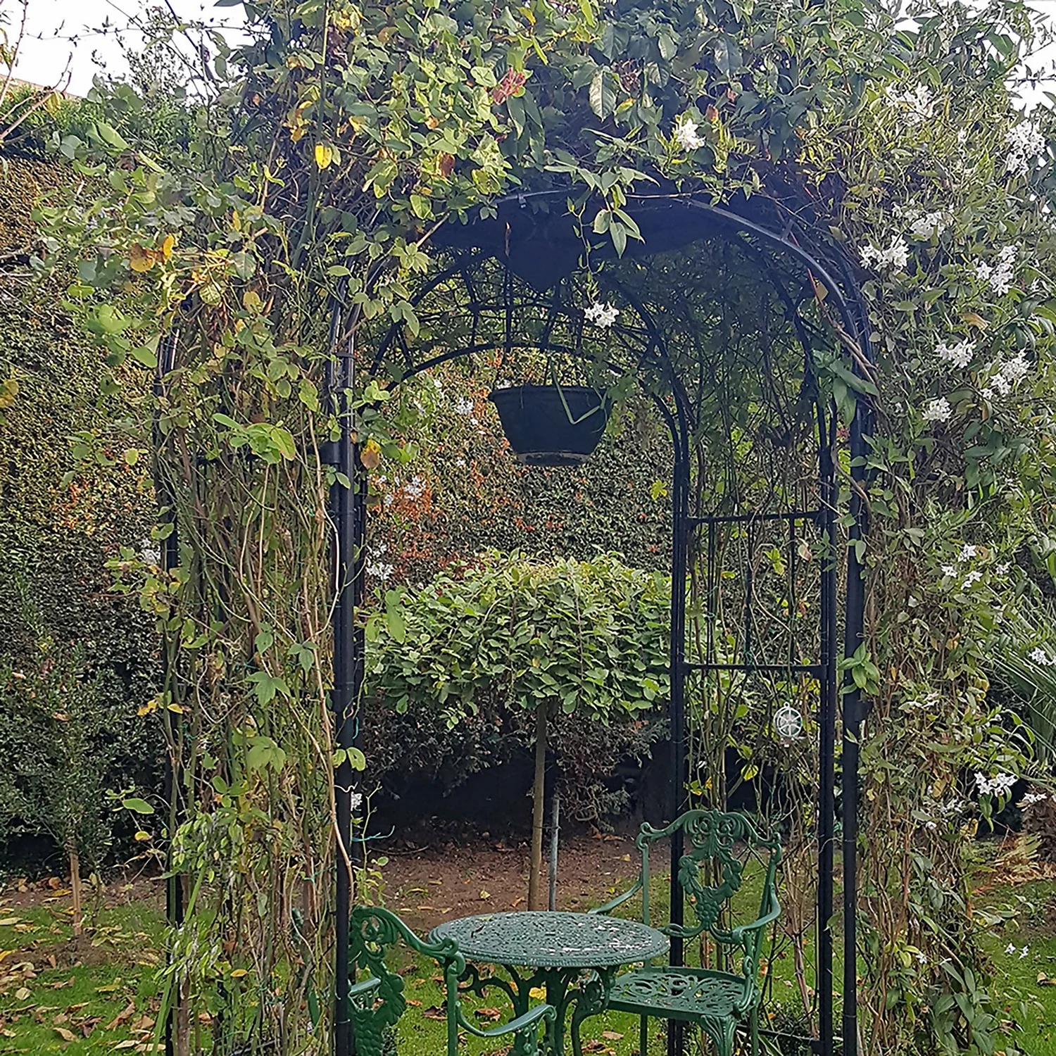 Agriframes Round Gazebo - (H)2.2 X (Diameter)1.8 M - Black - Image 2