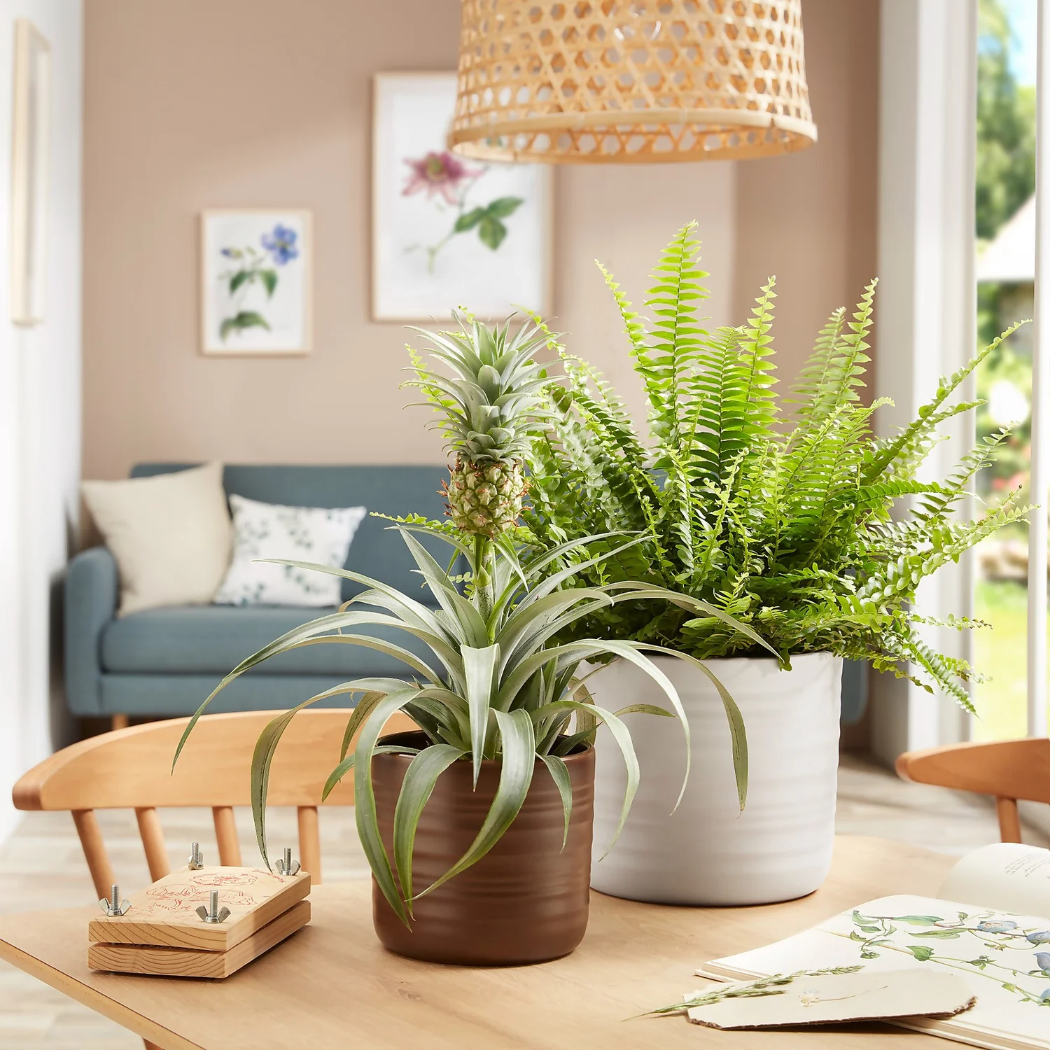 Scheurich Ripple White Indoor Pot - 14cm - Image 2