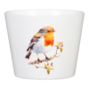 Scheurich Robin Indoor Pot - 13cm