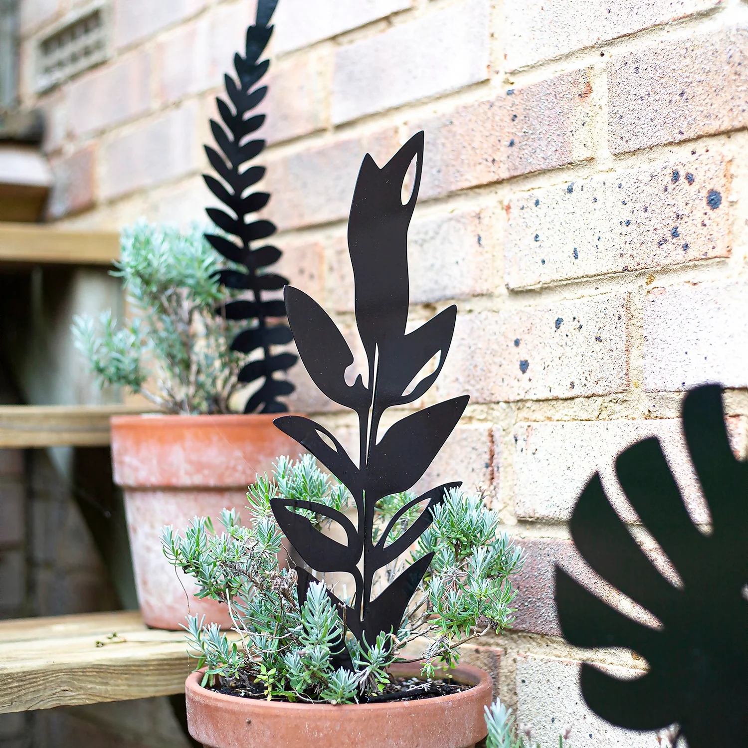 Jungle Black Ground Stakes - 45cm (Assorted Designs) - Image 9