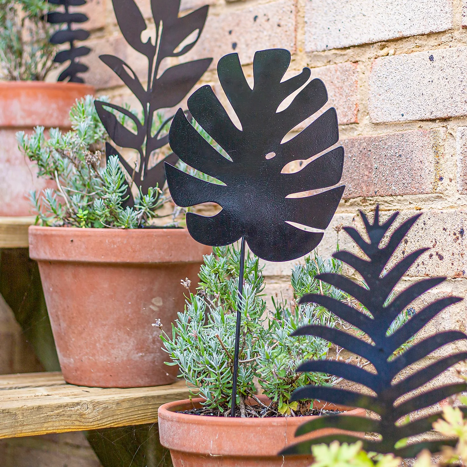 Jungle Black Ground Stakes - 45cm (Assorted Designs) - Image 8