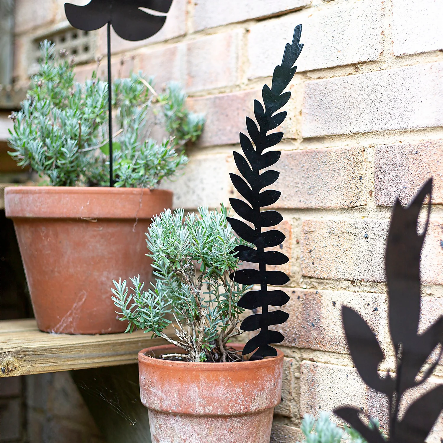 Jungle Black Ground Stakes - 45cm (Assorted Designs) - Image 7
