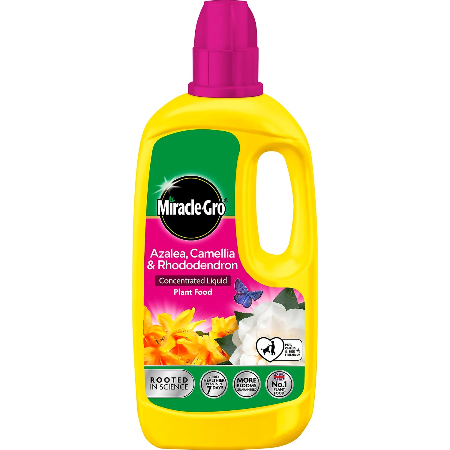 Miracle-Gro Azalea, Camellia & Rhododendron Concentrated Liquid Plant Food 800ml